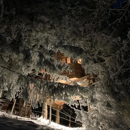 Dans Les Arbres De Valmo'insolite * Valmorel