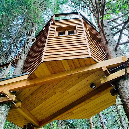 Dans Les Arbres De Valmo'insolite * Valmorel