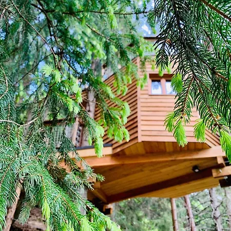 Dans Les Arbres De Valmo'insolite * Valmorel
