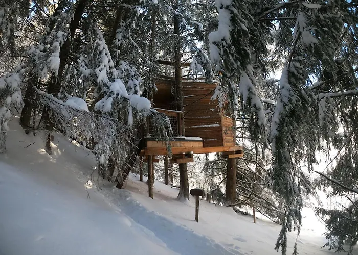 Dans Les Arbres De Valmo'insolite Tente de luxe Valmorel